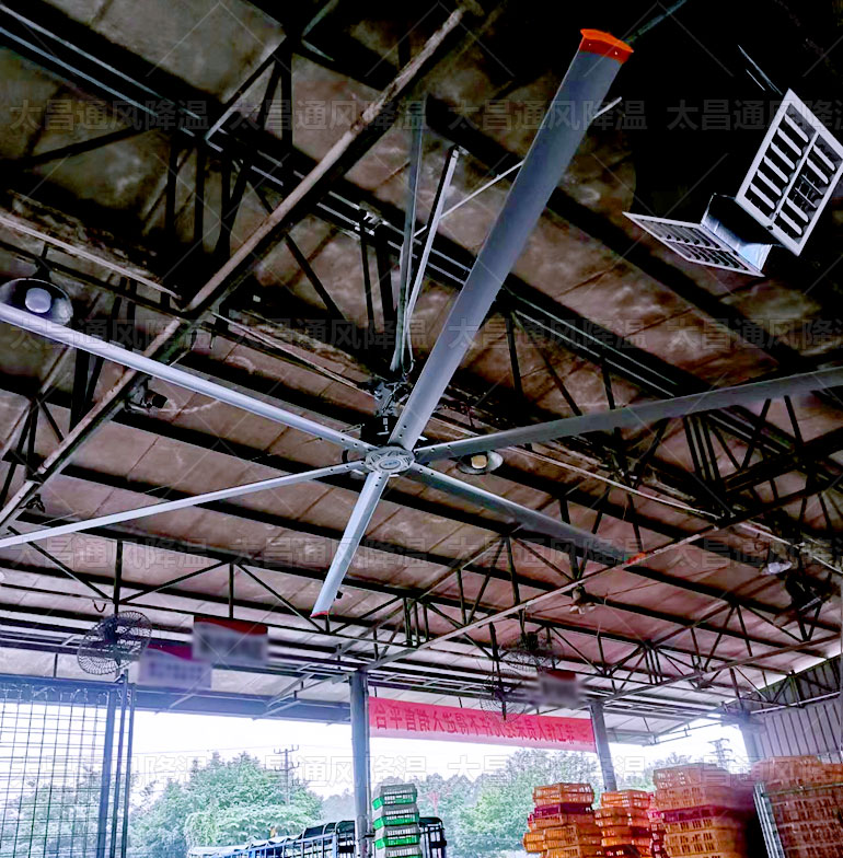 工業(yè)大風(fēng)扇有幾種，看完這些你就知道了