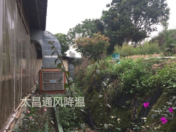 餐廳太熱？環(huán)?？照{(diào)為你送清風