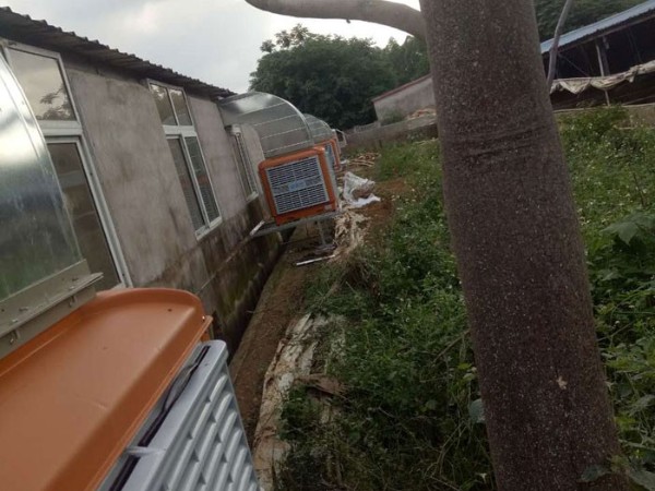 通風(fēng)降溫工程用潤東方節(jié)能環(huán)?？照{(diào)設(shè)備就對了