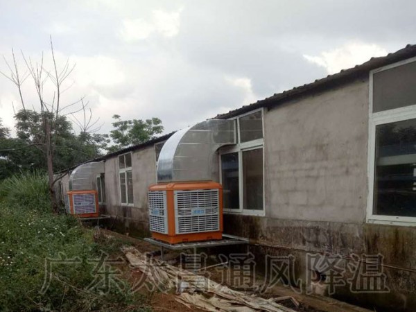 飼養(yǎng)廠|養(yǎng)豬場環(huán)?？照{(diào)通風(fēng)降溫案例